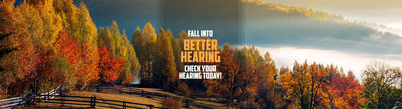 Fall Banner - Clear Choice Hearing Aid Centers